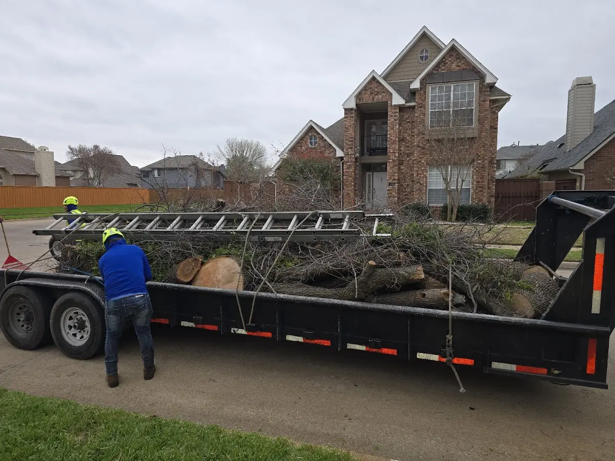 Expert Tree Removal with proper safety equipment in Little Mountain
